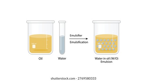 Emulsion, a mixture of two immiscible liquids (oil and water) in beakers, Emulsion  water in oil, Immiscible liquids. Emulsification, emulsifier. isolated on white background. Vector illustration.