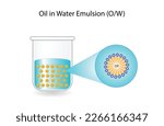 Emulsion types, a mixture of two immiscible liquids (oil and water) in tubes, Emulsion oil in water, Immiscible liquids, continuous phase, Dispersed phase isolated on white background. Vector design.