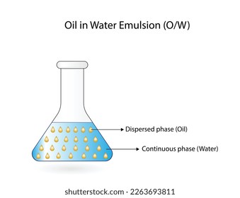 Emulsion types, a mixture of two immiscible liquids (oil and water) in tubes, Emulsion oil in water, Immiscible liquids, continuous phase, Dispersed phase isolated on white background. Vector design. 