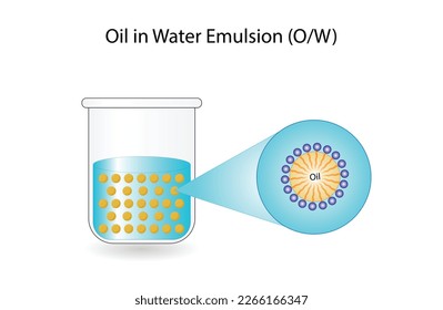 Emulsion types, a mixture of two immiscible liquids (oil and water) in tubes, Emulsion oil in water, Immiscible liquids, continuous phase, Dispersed phase isolated on white background. Vector design.