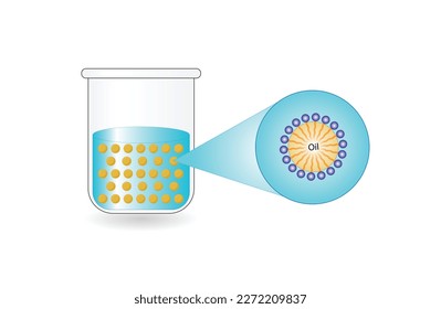 Emulsion types, a mixture of two immiscible liquids (oil and water) in tubes, Emulsion oil in water, Immiscible liquids, continuous phase, Dispersed phase isolated on white background. Vector design.