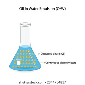 Emulsion types, a mixture of two immiscible liquids (oil and water) in tubes, Emulsion oil in water, Immiscible liquids, continuous phase, Dispersed phase isolated on white background. Vector design.