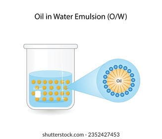 Emulsion types, a mixture of two immiscible liquids (oil and water) in tubes, Emulsion oil in water, Immiscible liquids, continuous phase, Dispersed phase isolated on white background. Vector design.