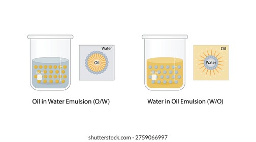 Emulsion types, a mixture of two immiscible liquids (oil and water), Emulsion oil in water, water in oil Immiscible liquids. Emulsifier types, structure. Vector illustration..