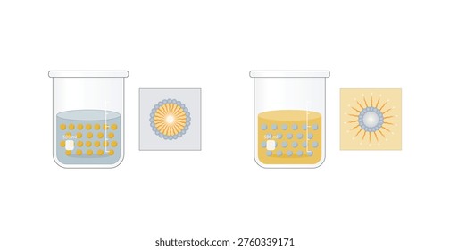 Emulsion types, a mixture of two immiscible liquids (oil and water), Emulsion oil in water, water in oil Immiscible liquids. Emulsifier types, structure. Vector illustration.