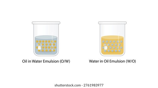 Emulsion types, a mixture of two immiscible liquids (oil and water), Emulsion oil in water, water in oil Immiscible liquids. Emulsifier types, structure. Vector illustration..