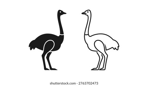 Emus and Ostriches Flightless Bird Comparison Vector