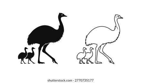 Emus vs Ostriches: Birds Comparison Guide Vector