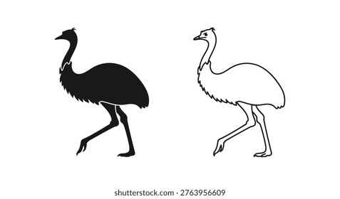 Emus vs Ostriches Flightless Bird Comparison Guide Vector
