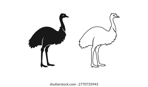 Emus vs Ostriches: Unique Flightless Birds Comparison Vector