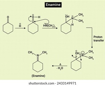 An enamine is an unsaturated compound derived by the condensation of an aldehyde or ketone with a secondary amine