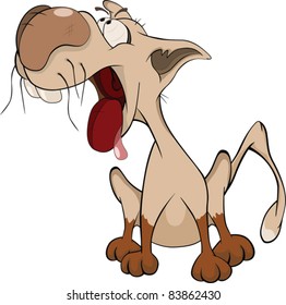 Enamored cat. Cartoon