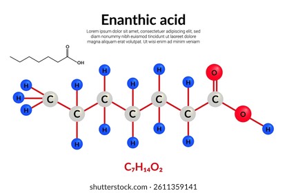 Enanthic or heptanoic acid, molecular structure formula,  ball-and-stick model, suitable for education or chemistry science content. Vector illustration