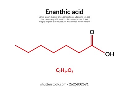 Fórmula de estructura molecular de ácido enántico o heptanoico, adecuada para contenido de educación o ciencia química. Ilustración vectorial