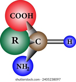 Das Enantiomer einer generischen Aminosäure, die chiral sind.Vektorgrafik 