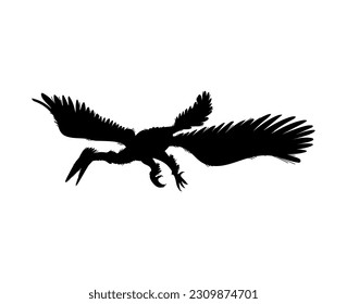 Enantiornis dinosaur, black silhouette icon, vector illustration isolated on white background. Prehistoric extinct bird of Mesozoic era. Educational drawing.