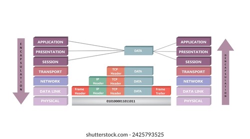 Encapsulation and deencapsulation proces in OSI reference model, vector