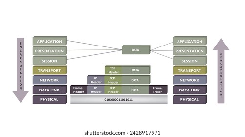 Encapsulation and deencapsulation proces in OSI reference model, vector