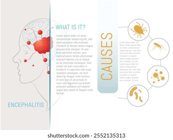 Encefalite causa e afeta áreas cerebrais ilustração do vetor médico.Encefalite causa e afeta áreas cerebrais ilustração do vetor médico
