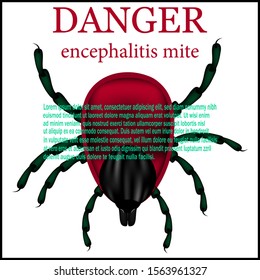 Encephalitis mite. Sign the danger of tick encephalitis. Vector illustration.