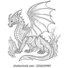 Enchanted Adventure: A White Dragon Coloring Book