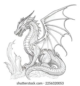 Enchanted Adventure: A White Dragon Coloring Book