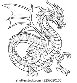 Enchanted Adventure: A White Dragon Coloring Book