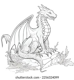 Enchanted Adventure: A White Dragon Coloring Book