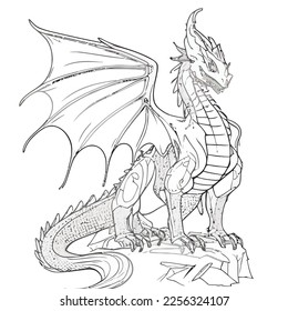 Enchanted Adventure: A White Dragon Coloring Book