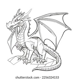 Enchanted Adventure: A White Dragon Coloring Book