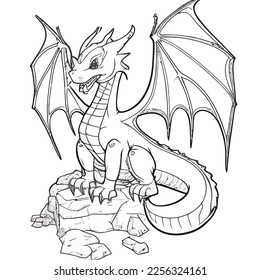 Enchanted Adventure: A White Dragon Coloring Book