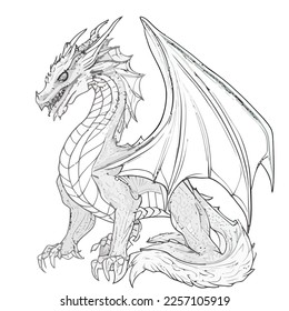 Enchanted Adventure: A White Dragon Coloring Book