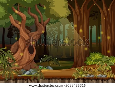 Enchanted forest landscape background illustration