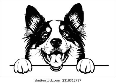 Enchanting Border Collie dog peeking, displaying its intelligent gaze and remarkable herding instincts, a true canine genius