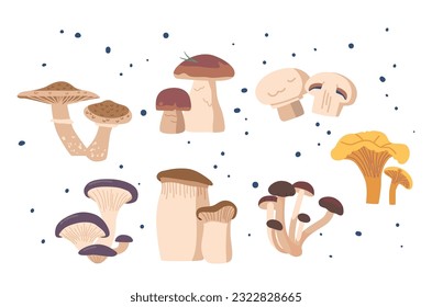 Enchanting Forest Mushrooms With Boasting Vibrant Colors And Intriguing Shapes. Chanterelle, Porcini, Oyster, Shiitake