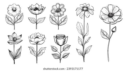 Eine bezaubernde, handgezeichnete, fortlaufend gezeichnete Illustration erfasst das Wesen der Natur mit abstrakten Blumen, Rosen, tropischen Blättern und einem köstlichen Olivenbouquet, wunderschön in Vektorgrafik