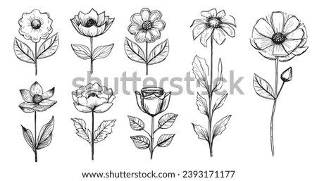An enchanting hand-drawn continuous line illustration captures the essence of nature with abstract flowers, roses, tropical leaves, and a delightful bouquet of olives, beautifully in vector