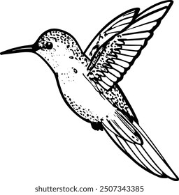 Enchanting Hummingbird - Elegant Vector Art