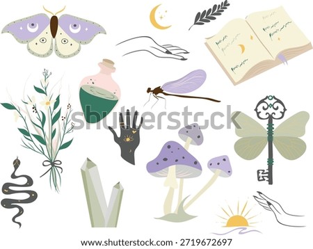 Enchanting Mystical and Witchy Nature Elements Collection