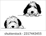Enchanting Old English Sheepdog head peeking with curiosity. High-quality EPS file for sale on Shutterstock. Instantly captivate viewers with this adorable and expressive design