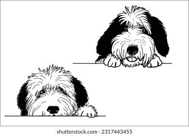 Encantador jefe de perro pastor inglés que mira con curiosidad. Archivo EPS de alta calidad a la venta en Shutterstock. cautivar instantáneamente a los espectadores con este diseño adorable y expresivo