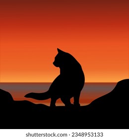 The Enchanting Sunset Silhouette of a Cat on Coastal Rocks