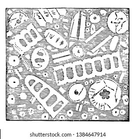 Encrinite form in the areas typically shallow warm euhaline seas. Illustration shows parts of the stem, Separate joints, vintage line drawing or engraving illustration.