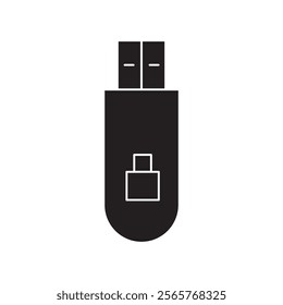 Encrypted pendrive icon Vector flat thin line illustration