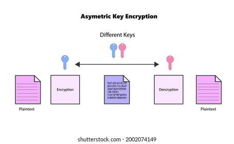Encryption using symmetric key and asymmetric key algorithm