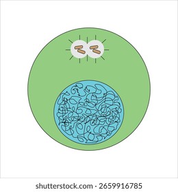 Ilustración de etapa de división celular de fin de interfase	
