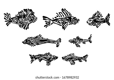 Endangered ancient fish set. Hand drawn animal prints graphic vector illustration, black isolated on white background painted by ink. 