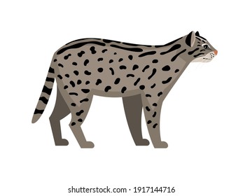 Endangered cat. Cartoon fluffy character of zoo, cute exotic mammal with spots, vector illustration of fishing cat isolated on white background