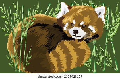 Endangered red panda wildlife conservation efforts