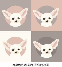 endangered species fennec fox illustrations